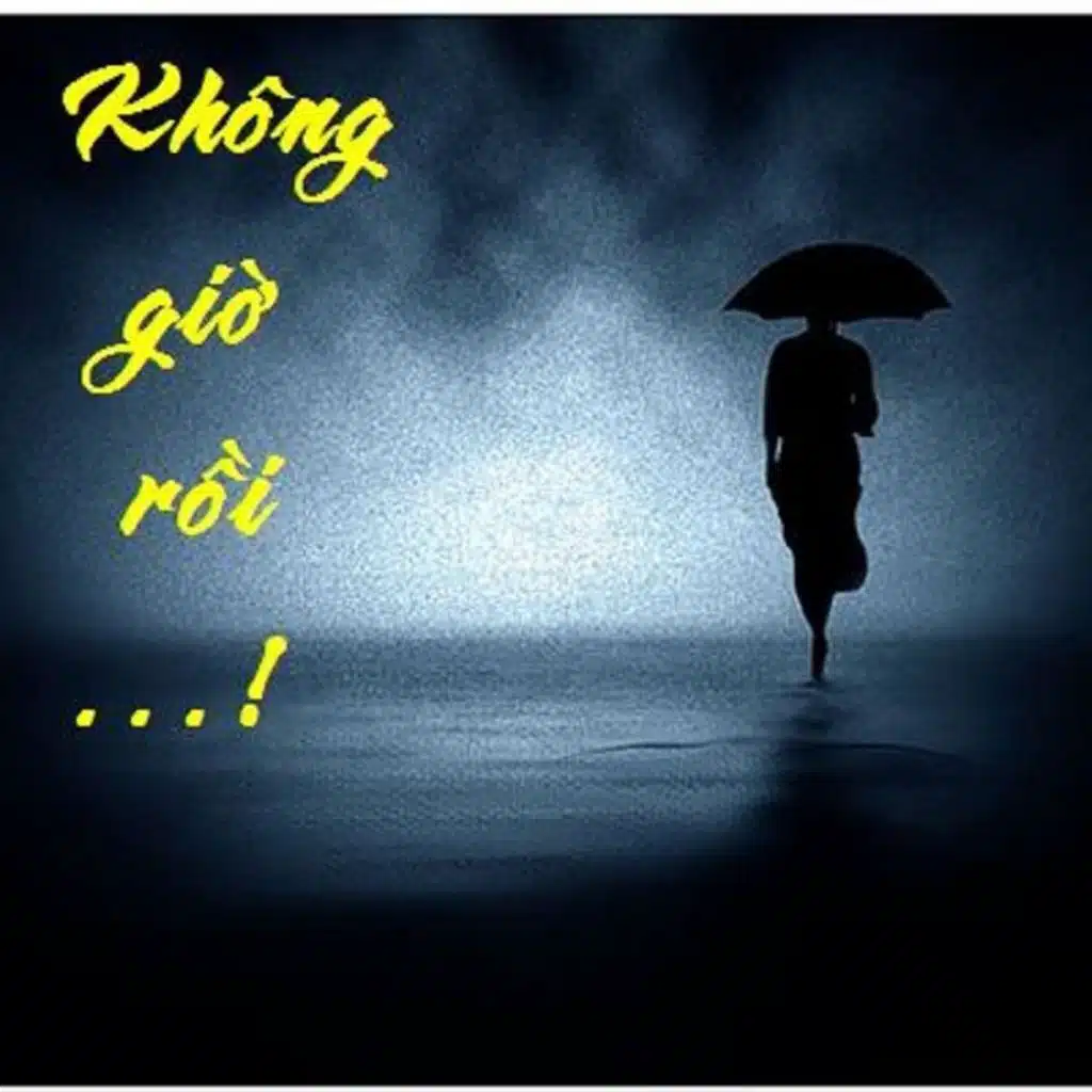 Anh Đã Hiểu Tình Em Remix