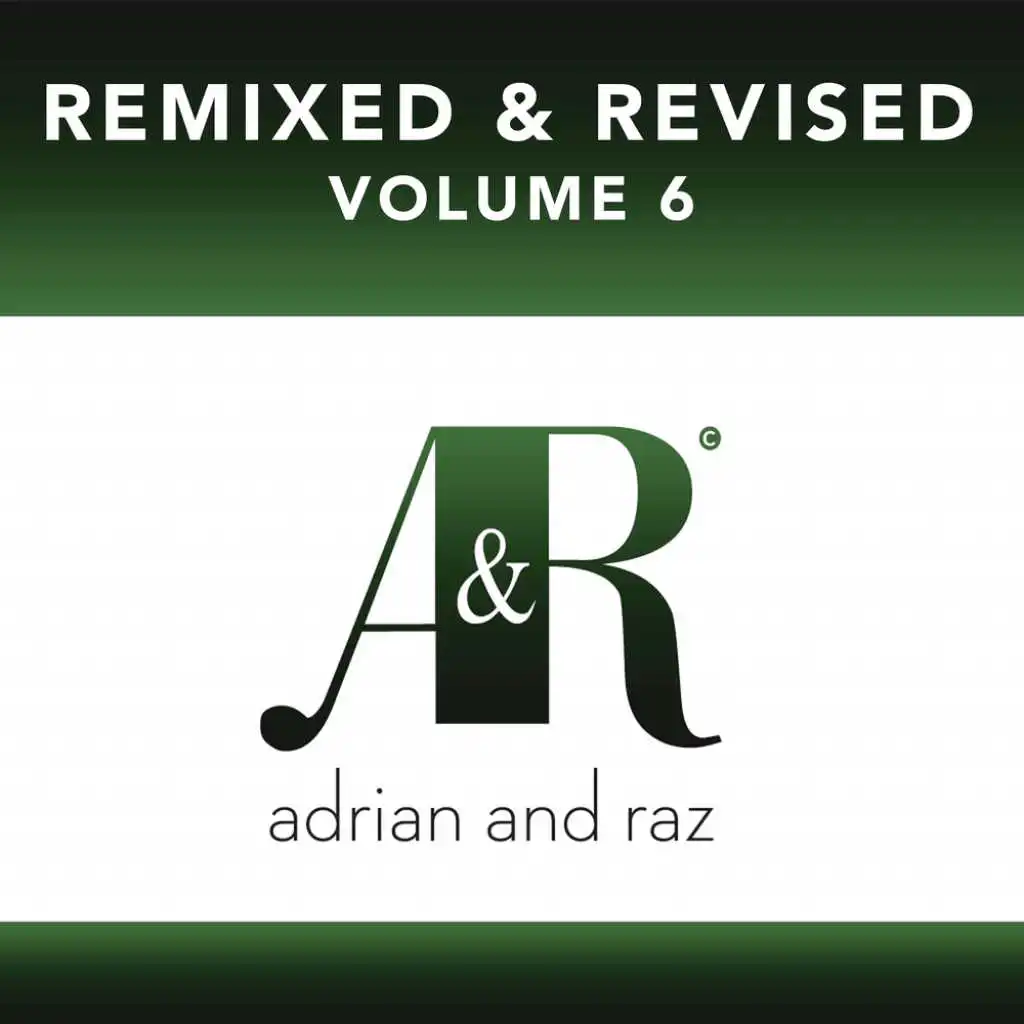 Remixed & Revised, Vol. 6