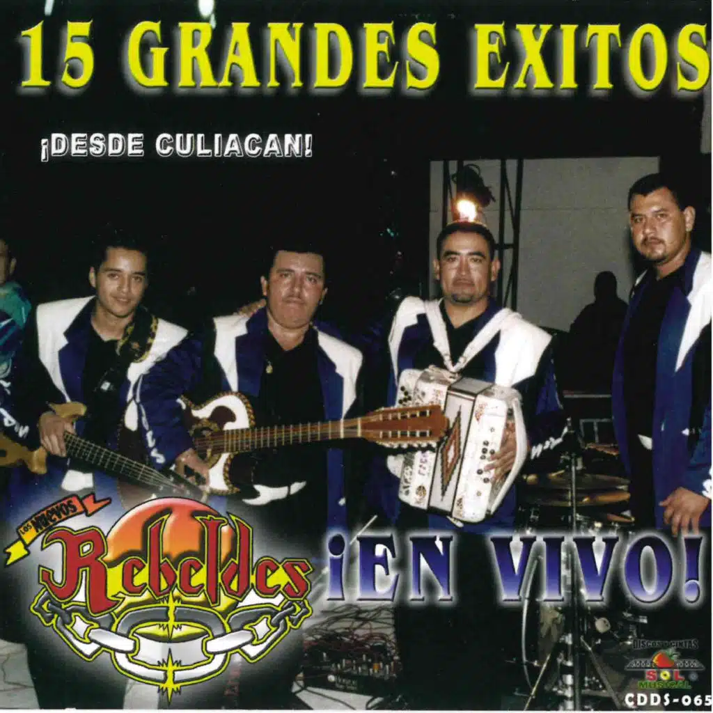 Besos y Caricias (En Vivo)