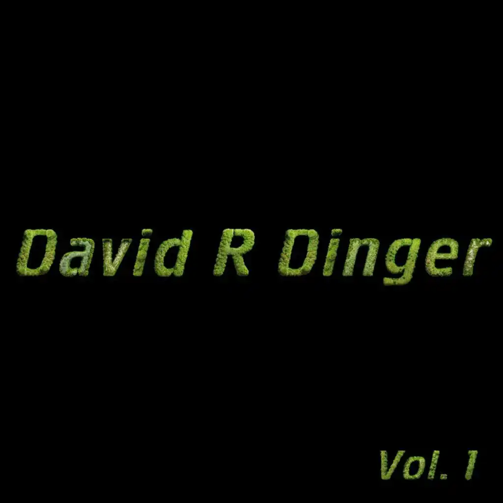 David R Dinger