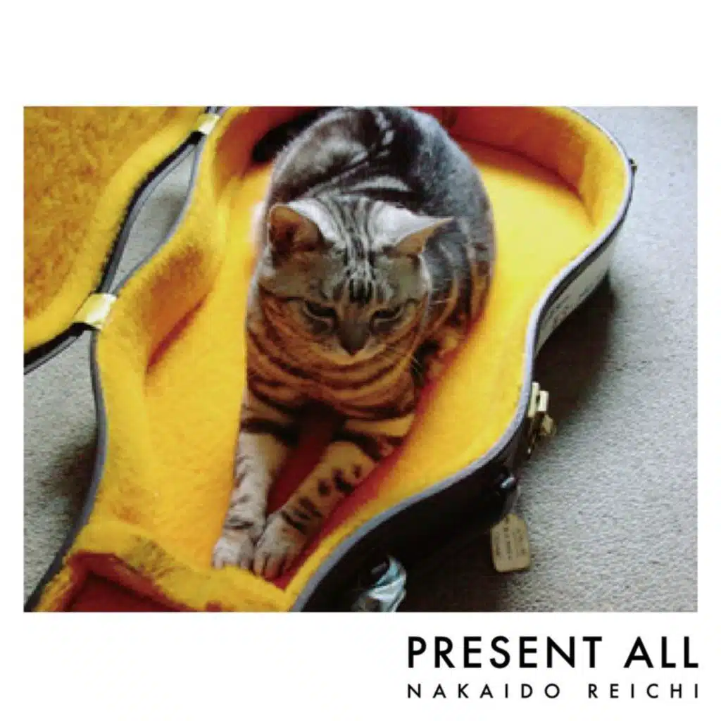 Present All