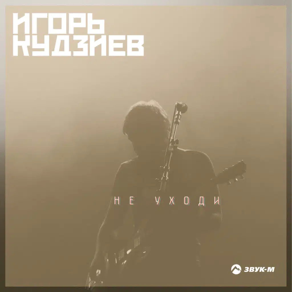 Игорь Кудзиев