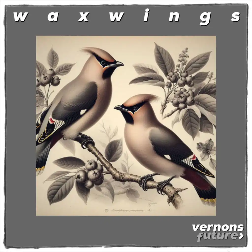 Waxwings