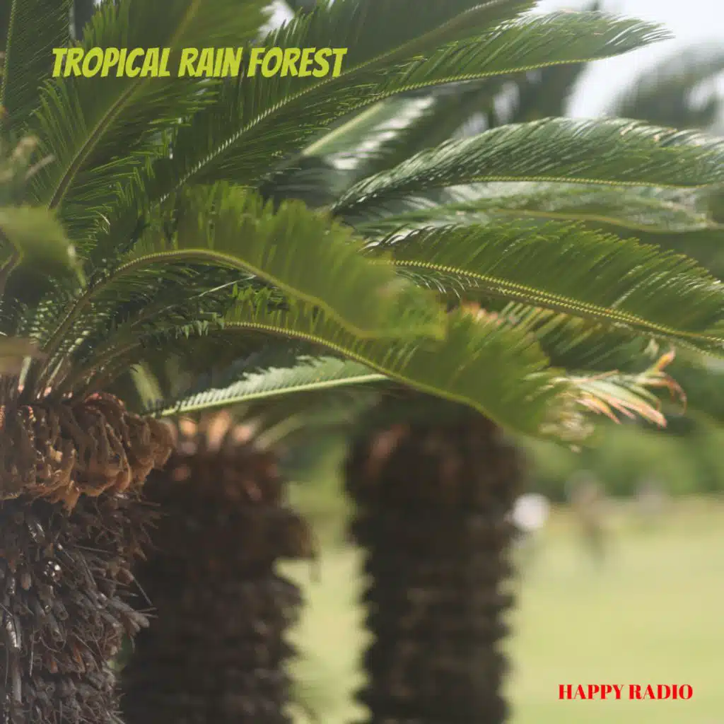 Tropical Rain Forest