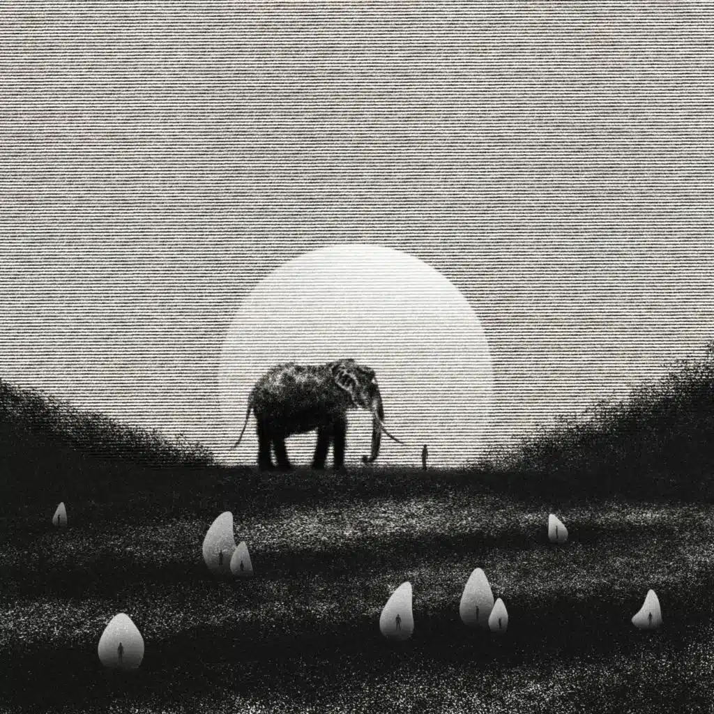 Слонове молоко