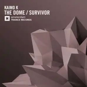 Survivor (Radio Edit)