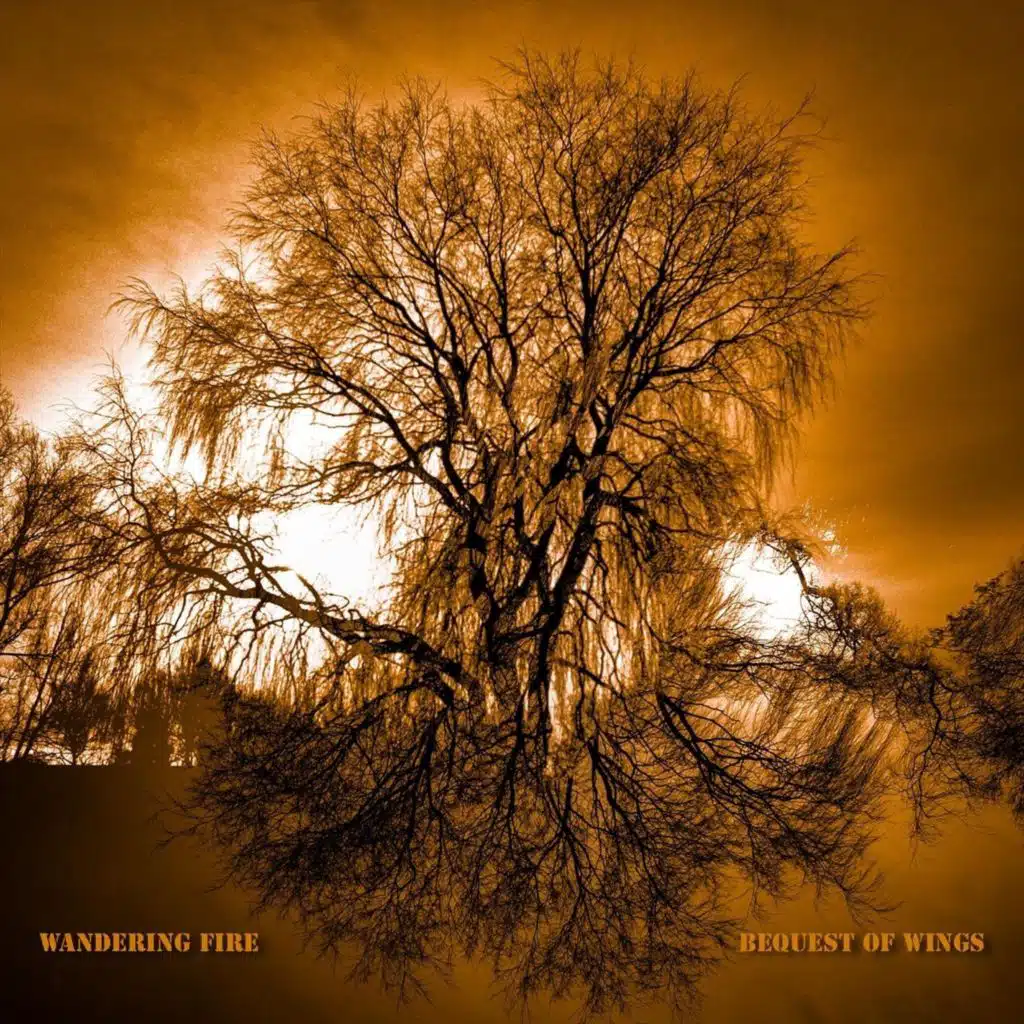 Bequest of Wings (Live)