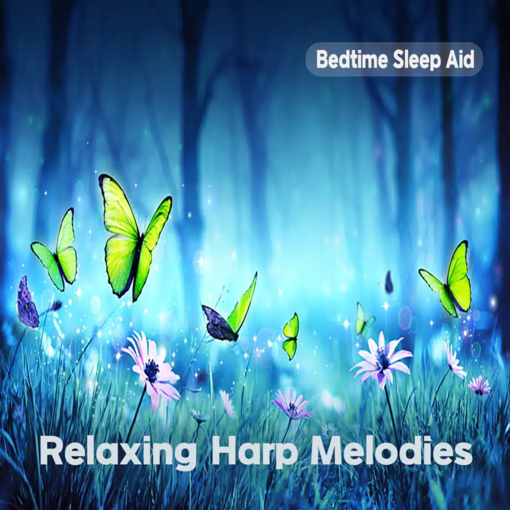 매일 숙면하는 뇌 휴식 하프