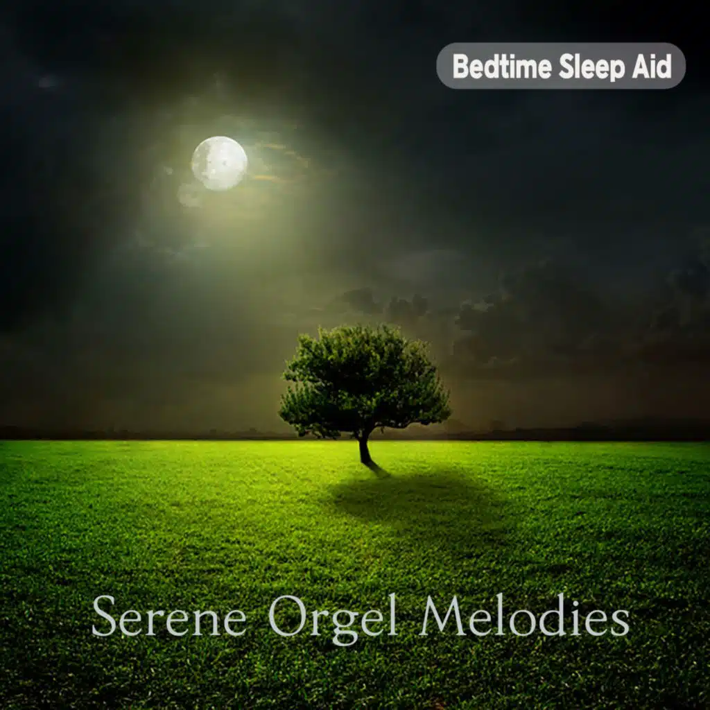 잠 안 올 때 듣는 수면 유도 오르골