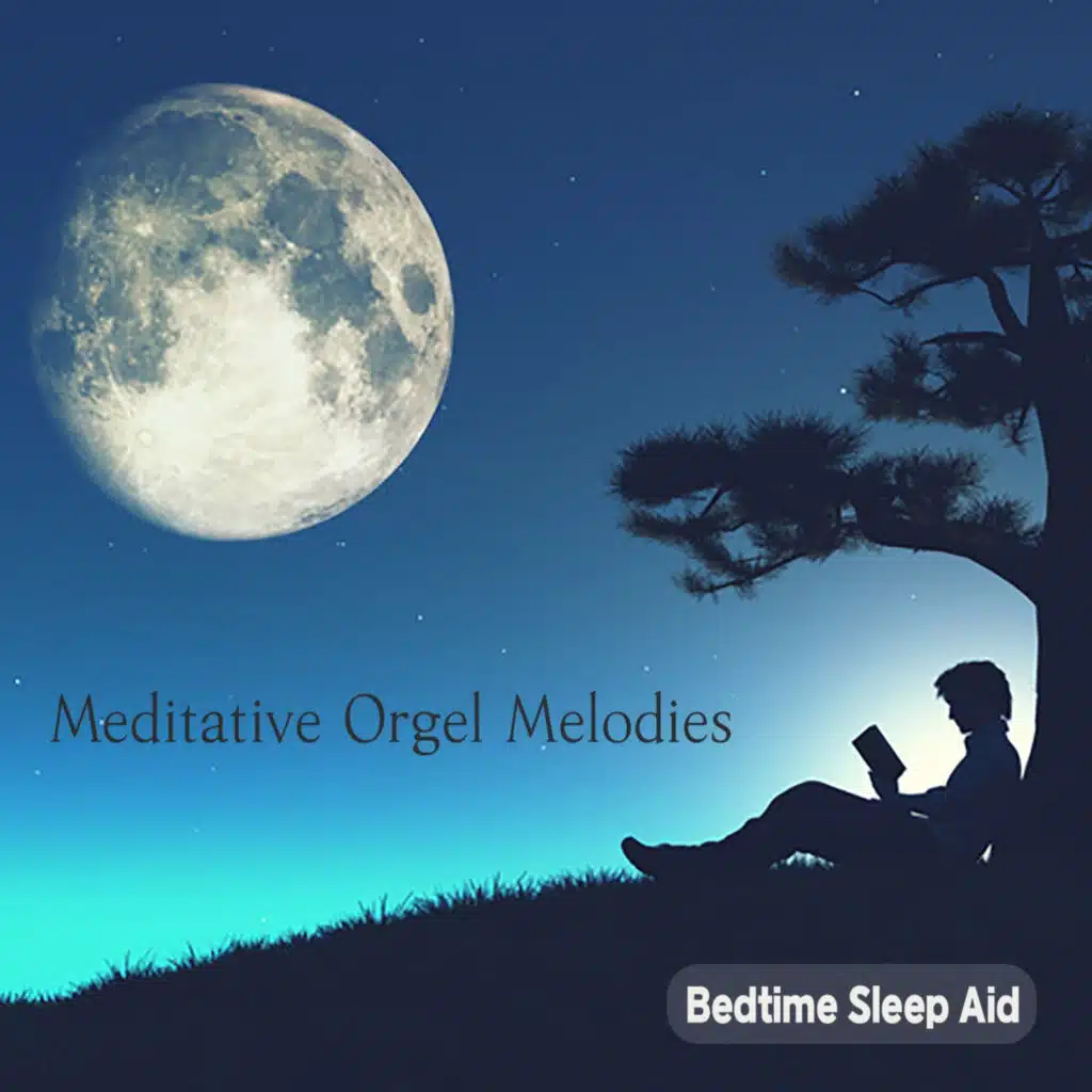 지금 이 순간 평화롭기 (오르골)