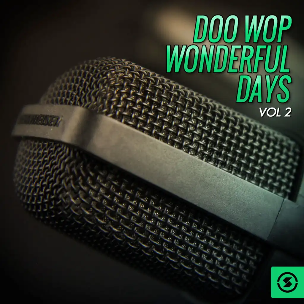 Doo Wop Wonderful Days, Vol. 2