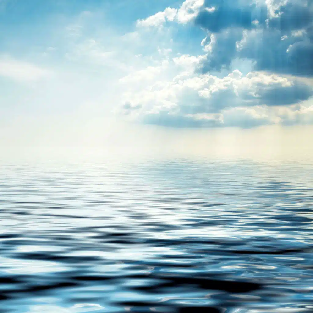 See you again (feat. Naomy May)