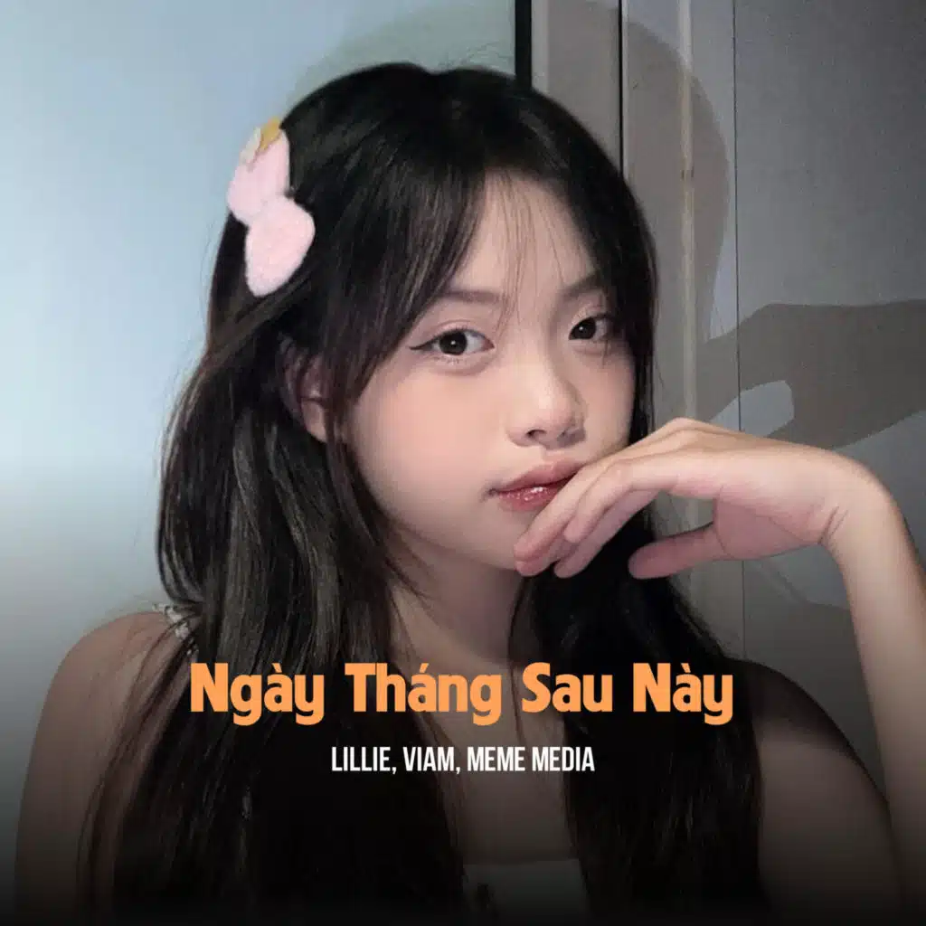 Ngày Tháng Sau Này (SS Remix)
