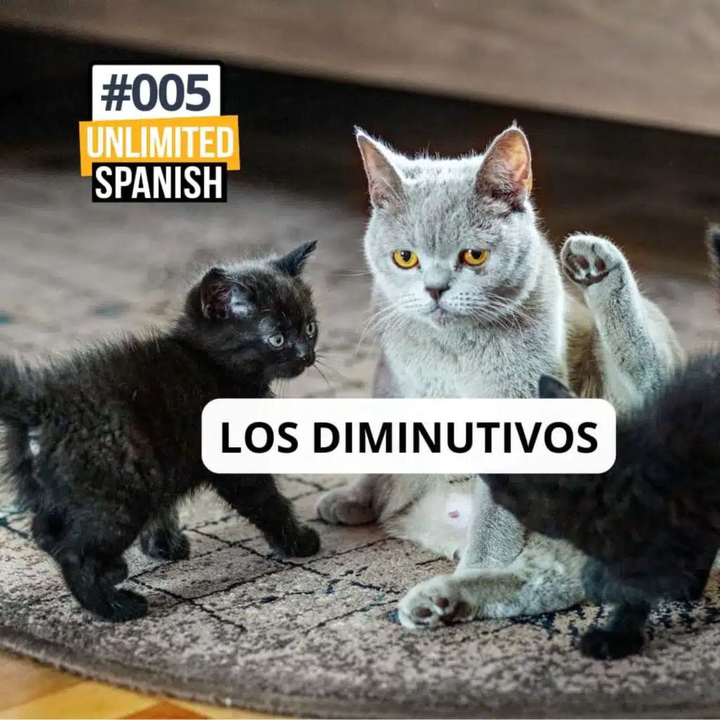 #005: Los diminutivos. La importancia de la gramática