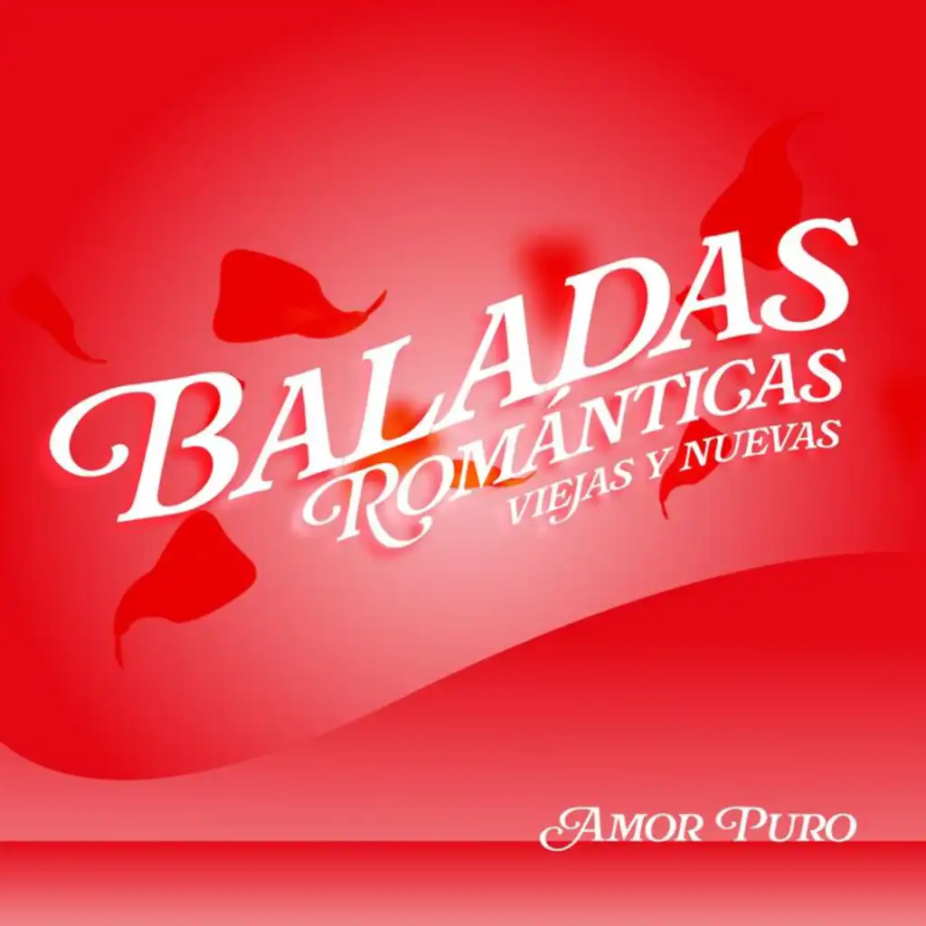 Celebración De Amor