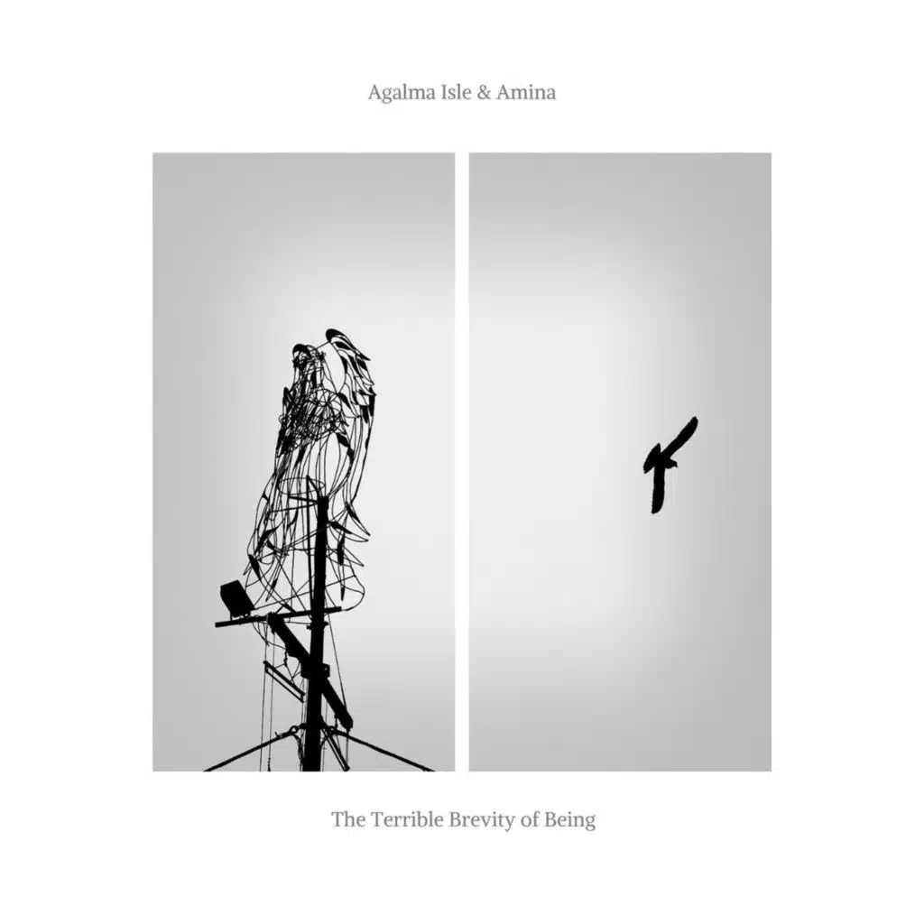 The Terrible Brevity of Being (with Amina)