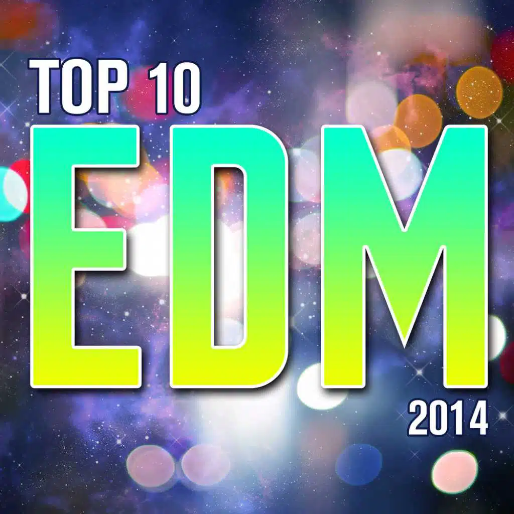 Top 10 EDM 2014