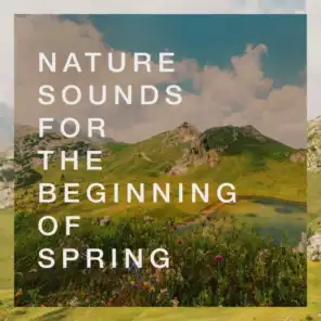 Nature Sounds for the Beginning of Spring