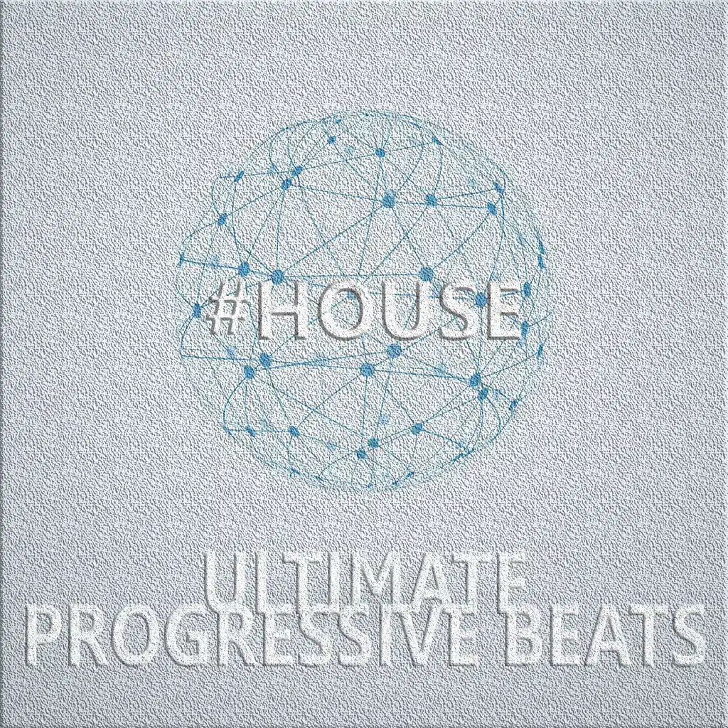 Phono (Veerus & Maxie Devine Presents Megatonic Boys) (Alex Dias Remix)