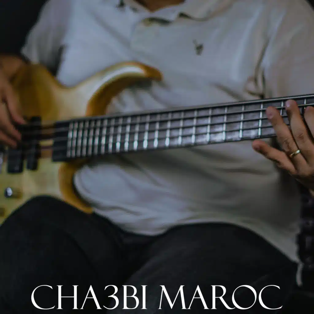 شعبي نايضة لجميع الأعراس والأفراح