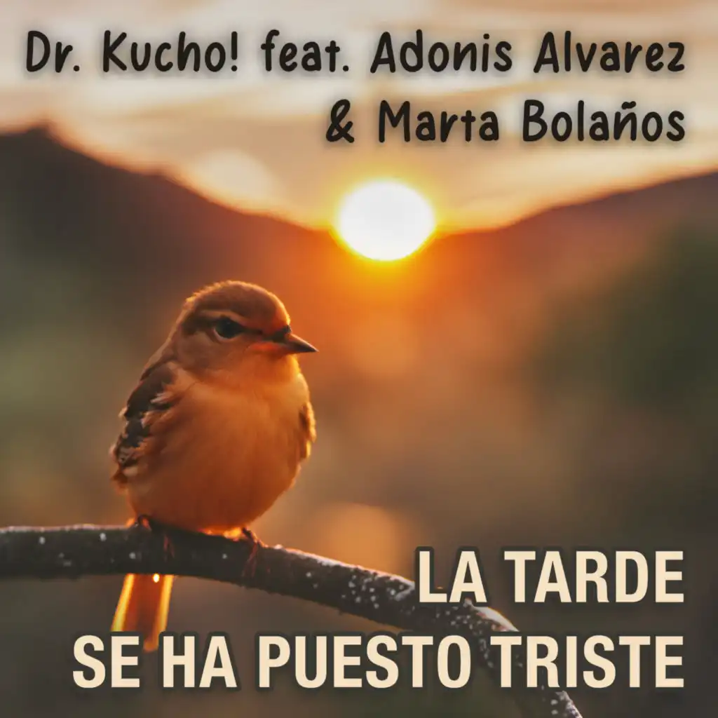 La Tarde Se Ha Puesto Triste (Disc Doctor Radio Edit) [feat. Marta Bolaños & Adonis Alvarez]