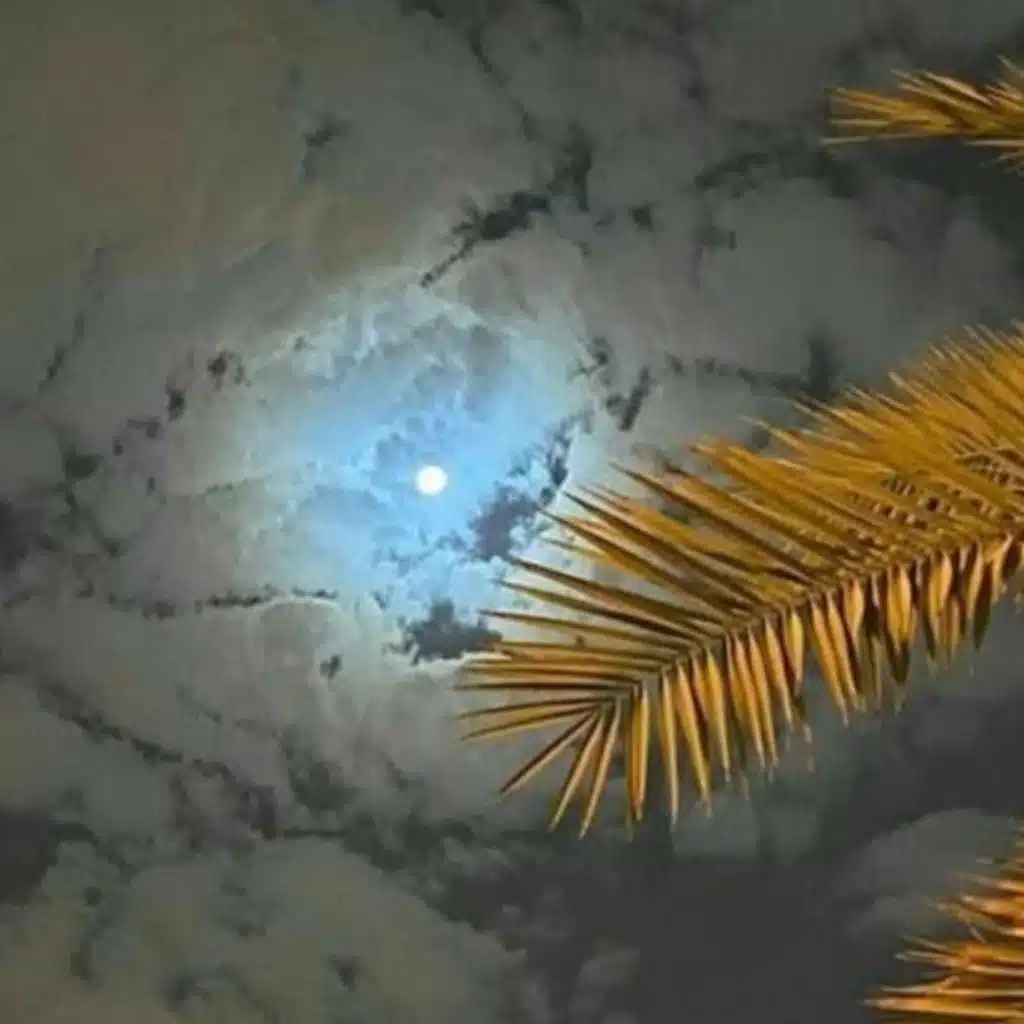 شفيقة جاي بيشكي ريمكس