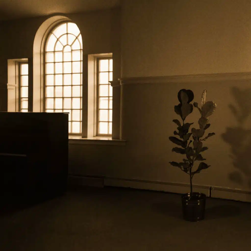 Loosely for the Soul