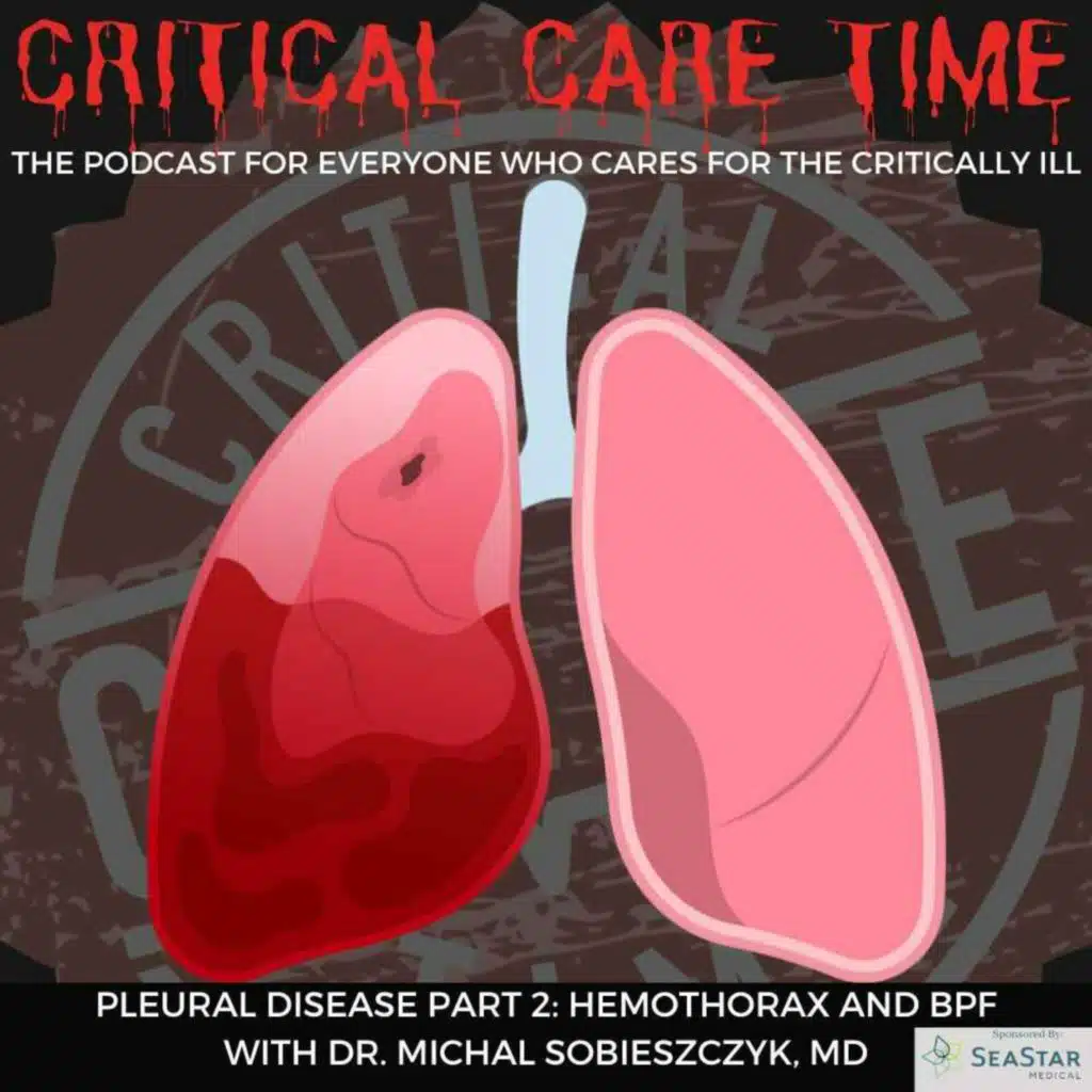 29. Pleural Disease Part 2: Hemothorax & BPF with Dr. Michal Sobieszczyk, MD
