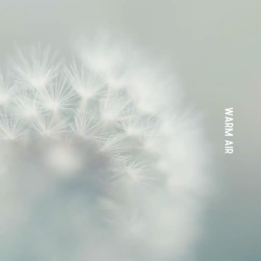 Sailors Of The 7 Seas