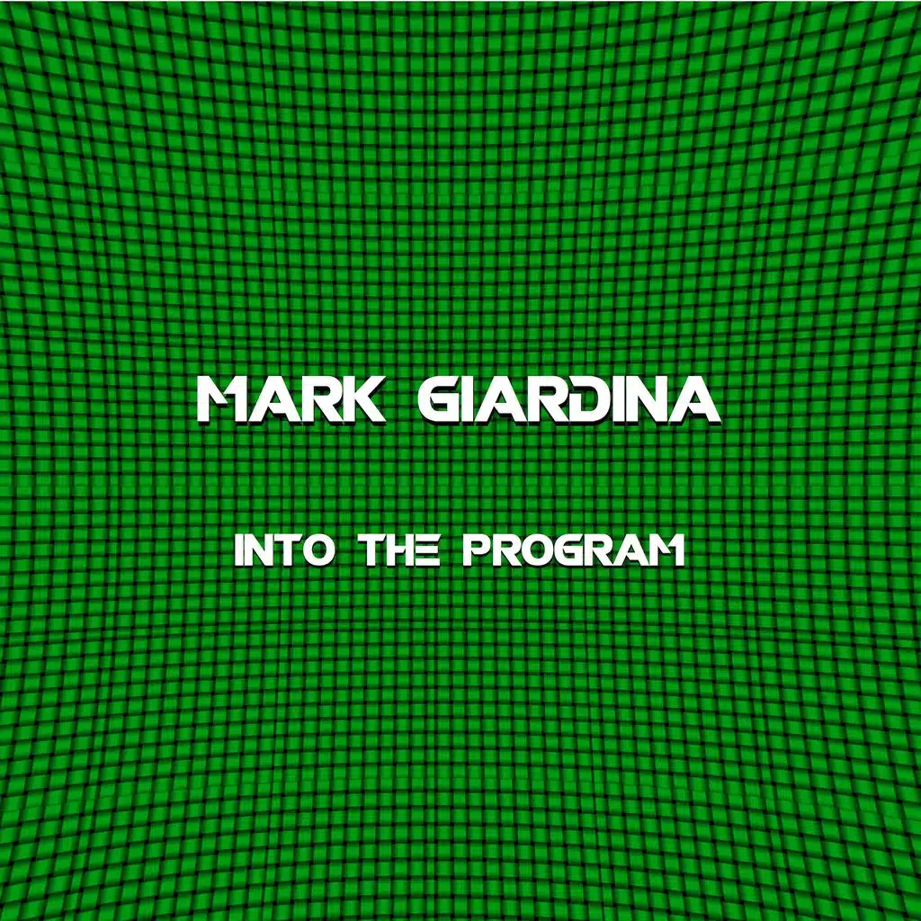 Into the Program