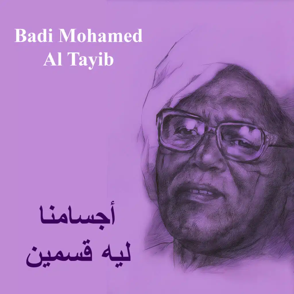 Badi Mohamed Al Tayib