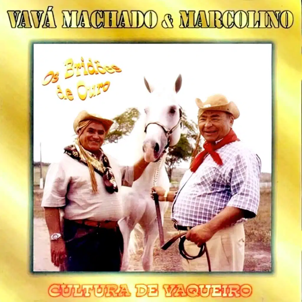 A Volta do Homem Ao Campo