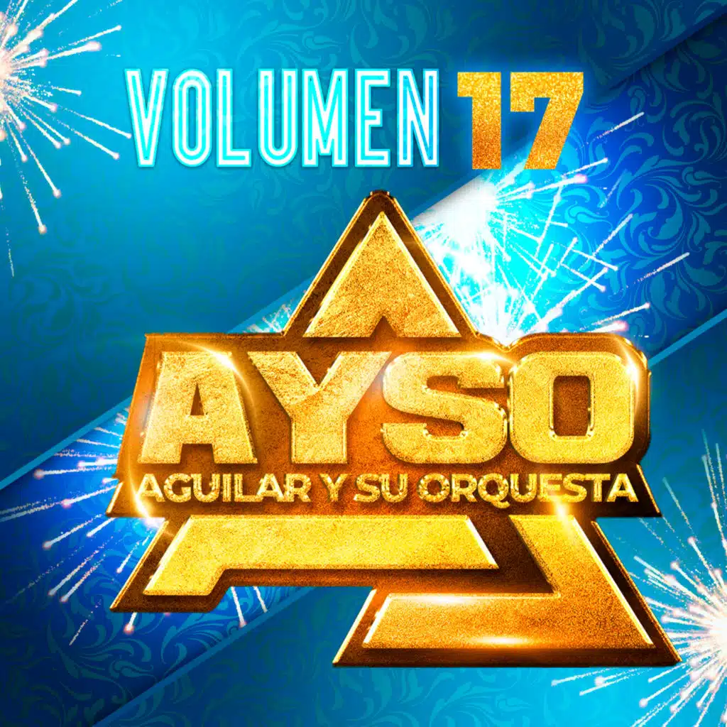 VOLUMEN 17