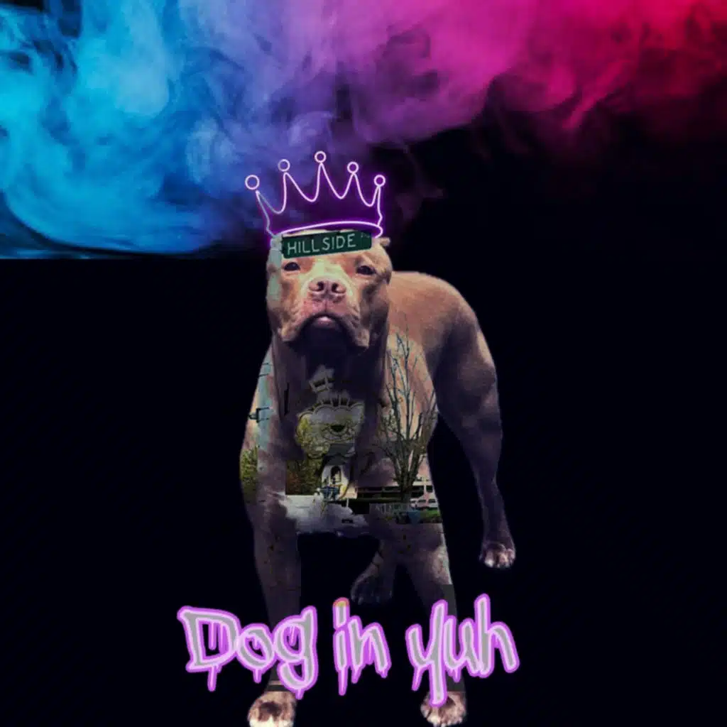 Dog in yuh