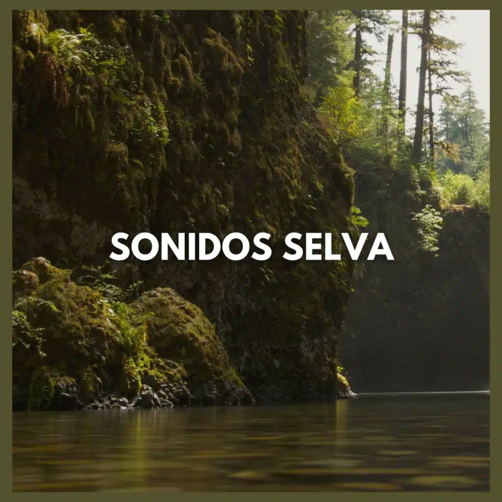 Sonidos Selva