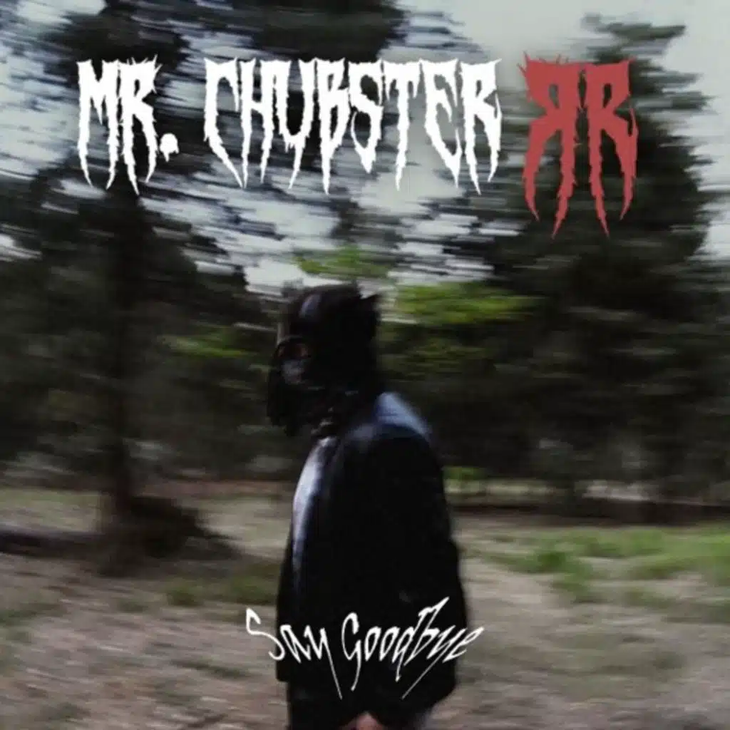 Mr. Chubster
