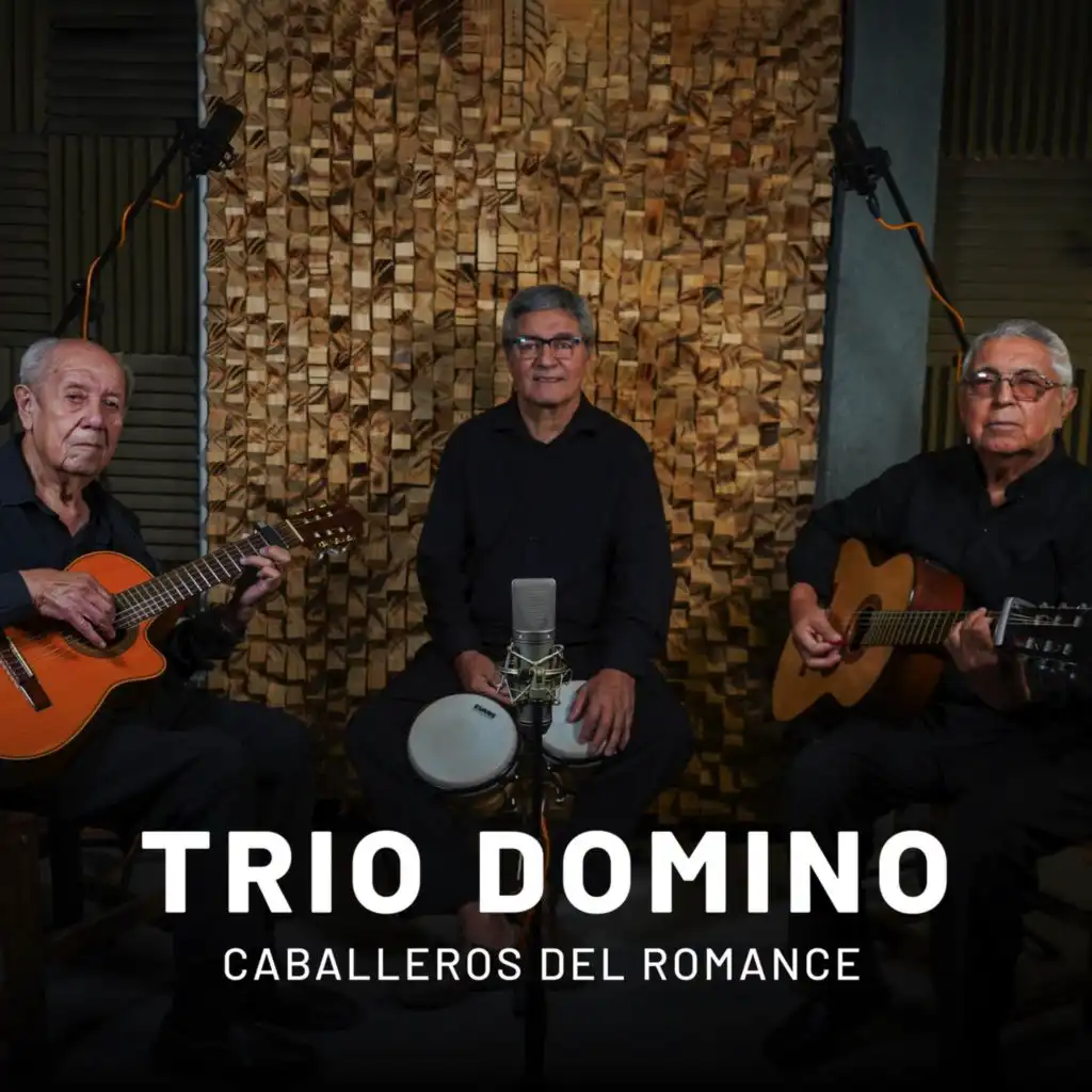 Trío Domino