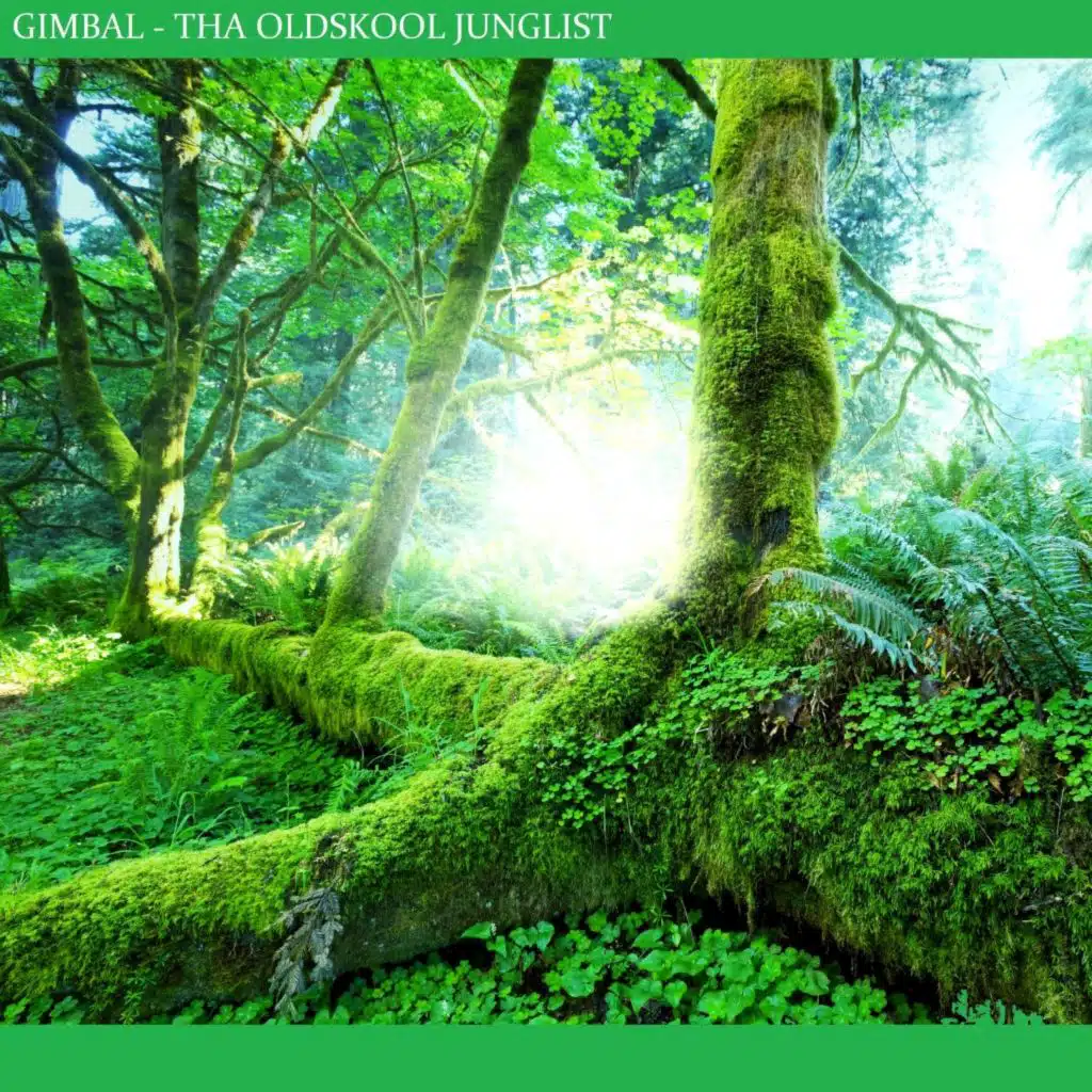 Trotz desto Nichts (Mellow Sonic Remix)