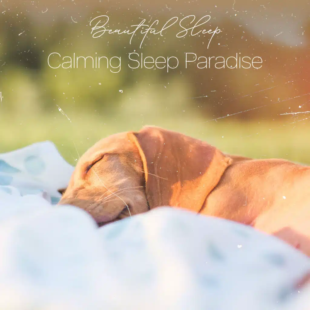 Calming Sleep Paradise