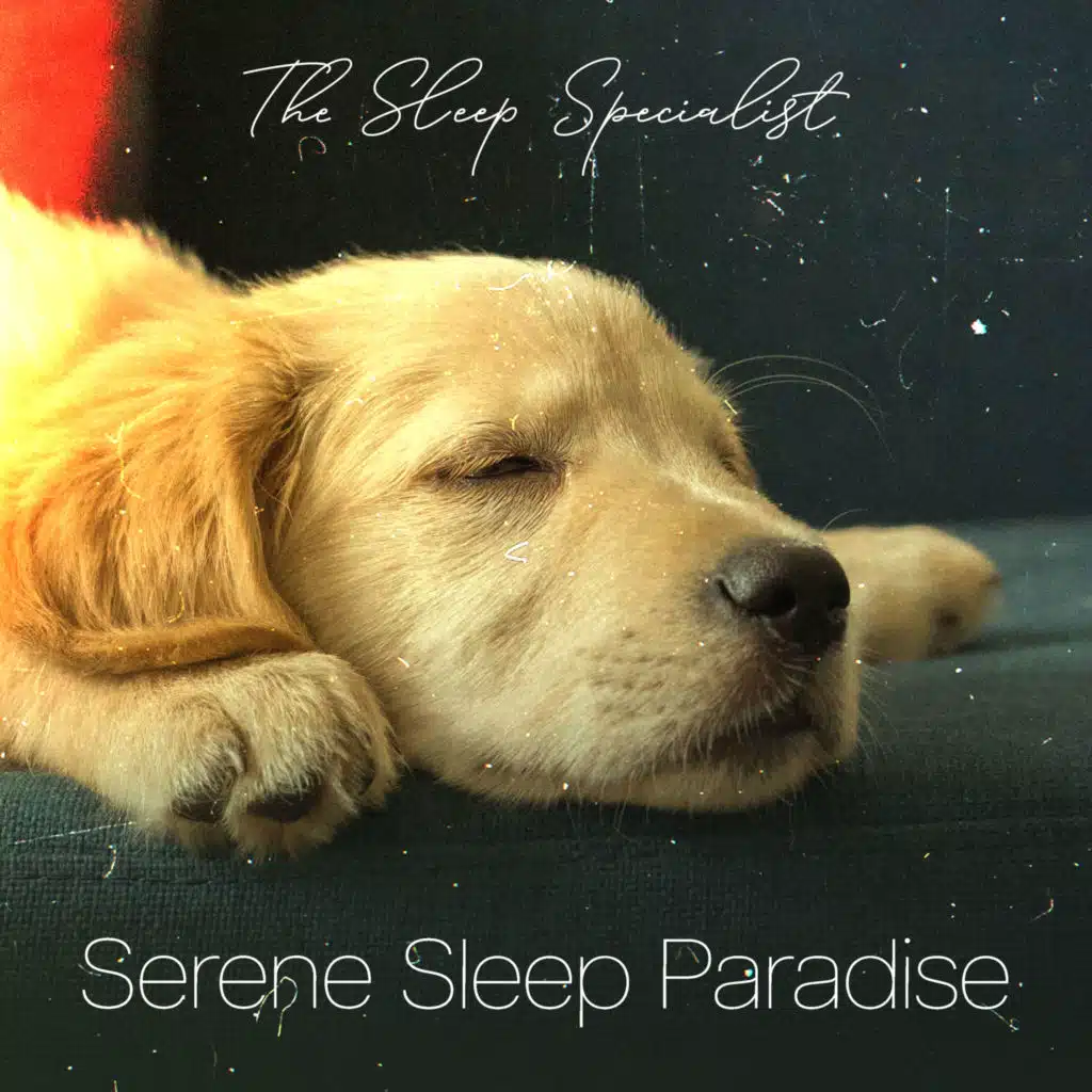 Serene Sleep Paradise