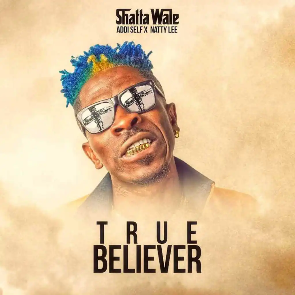 True Believer (feat. Addi Self & Natty Lee)