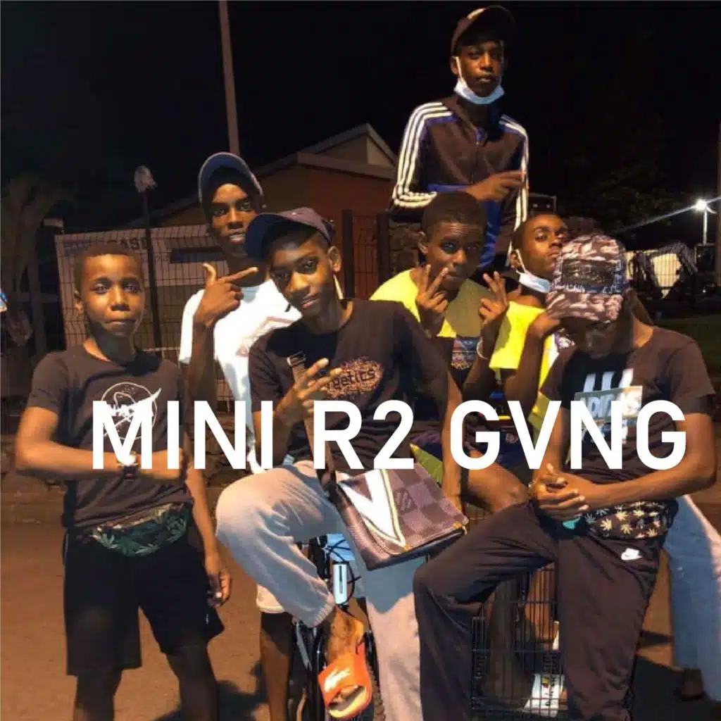 Mini R2 Gvng (feat. Fazal)