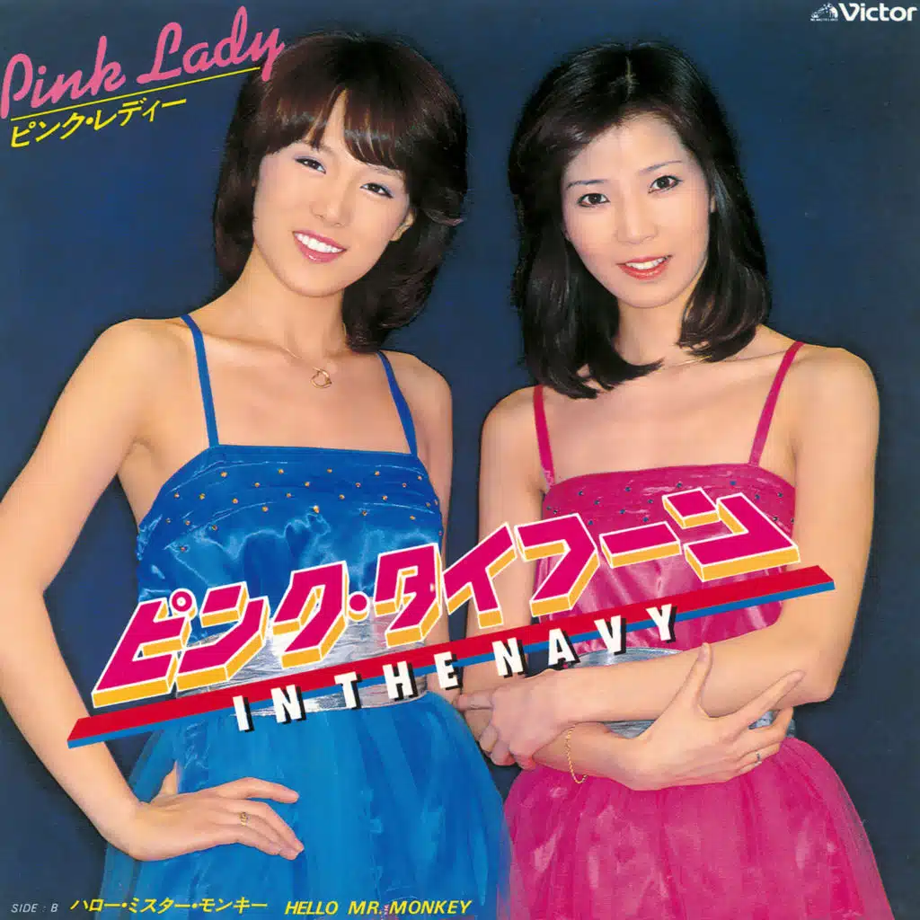 Pink Typhoon (In The Navy) (2022 Remaster)