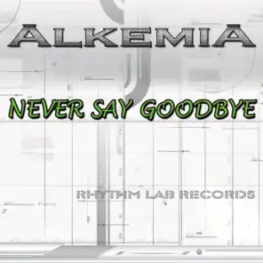 Never Say Goodbye (Alkemia Radio Mix Instrumental)