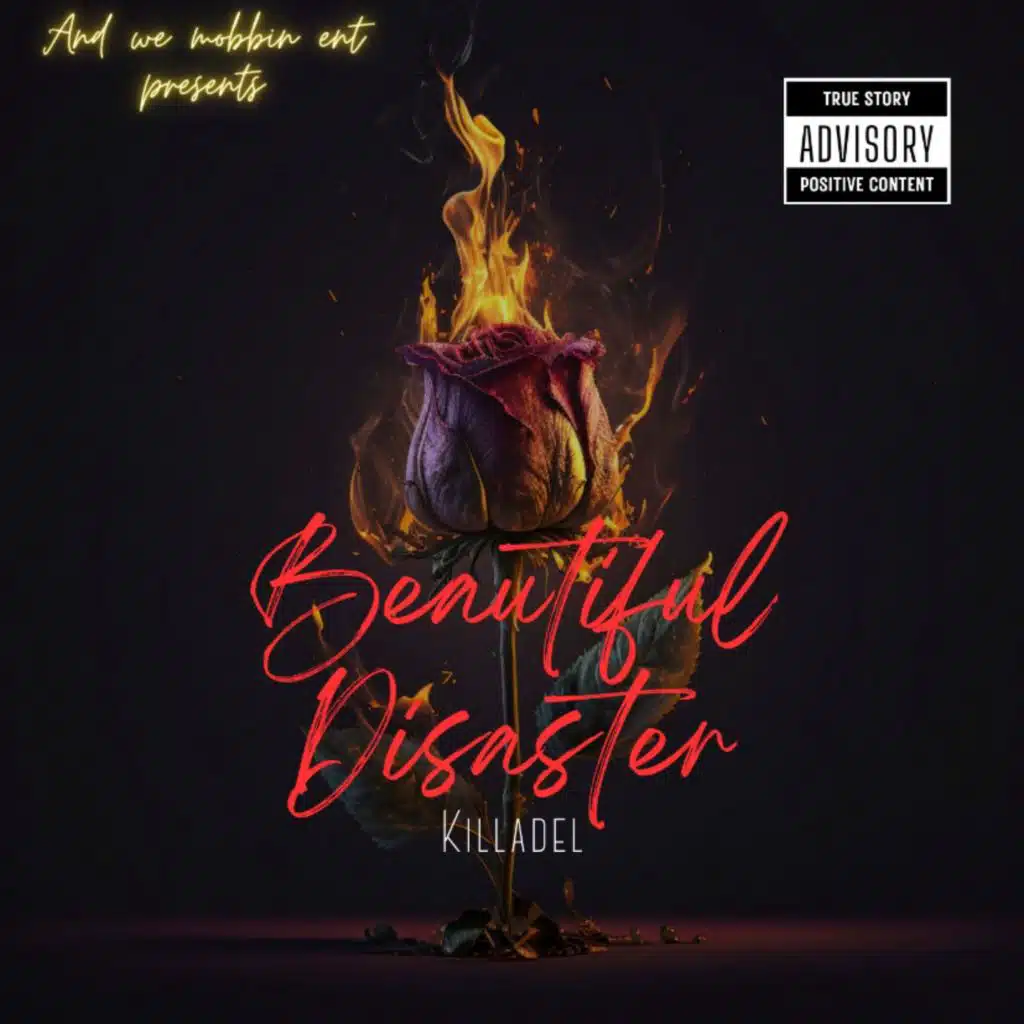 Beautiful disaster