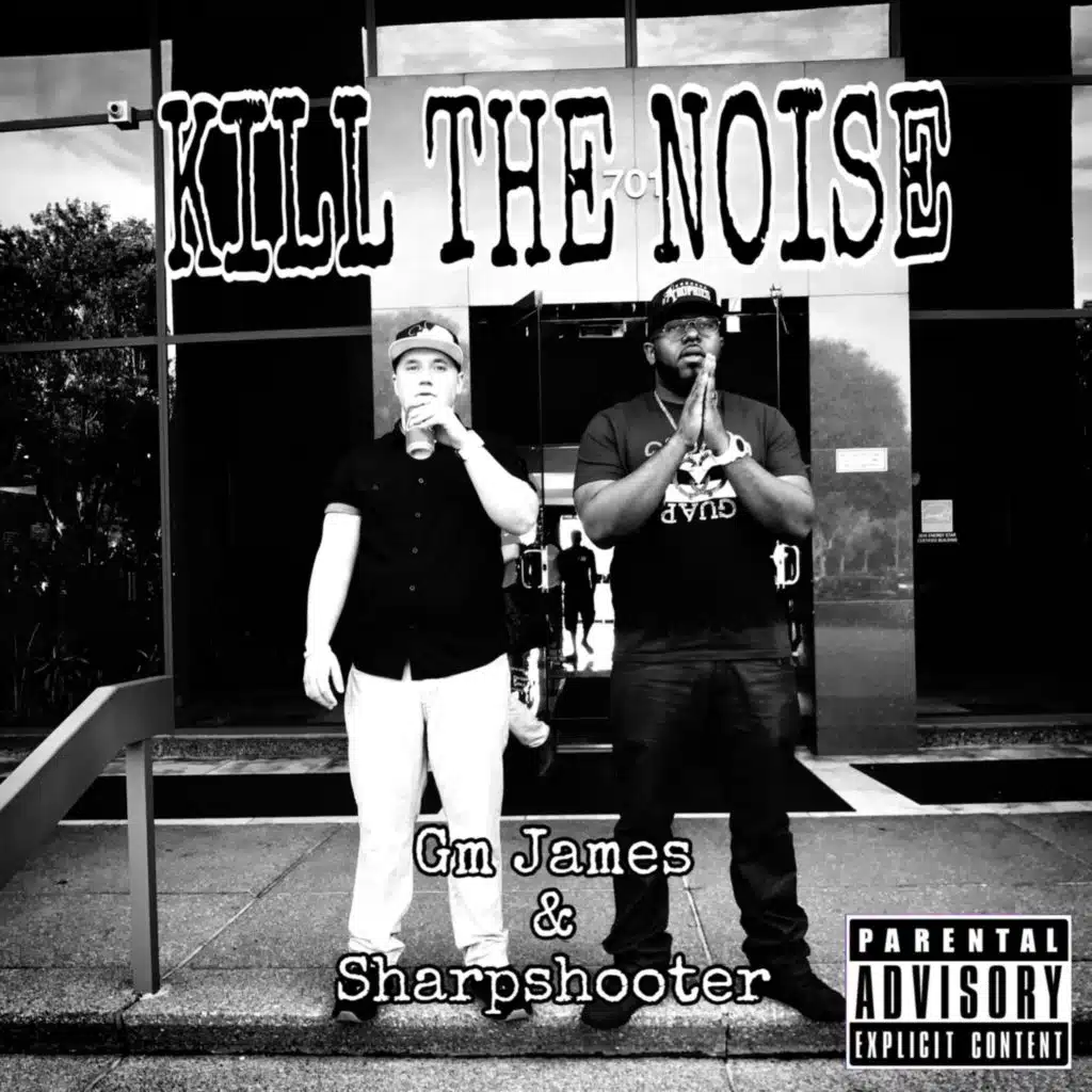 Kill The Noise (feat. Sharp Shooter)