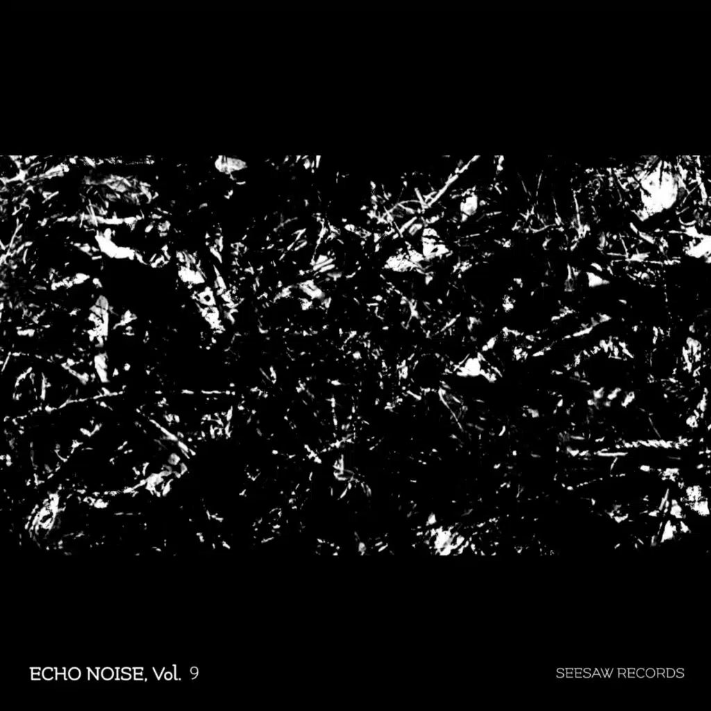 Echo Noise, Vol. 9