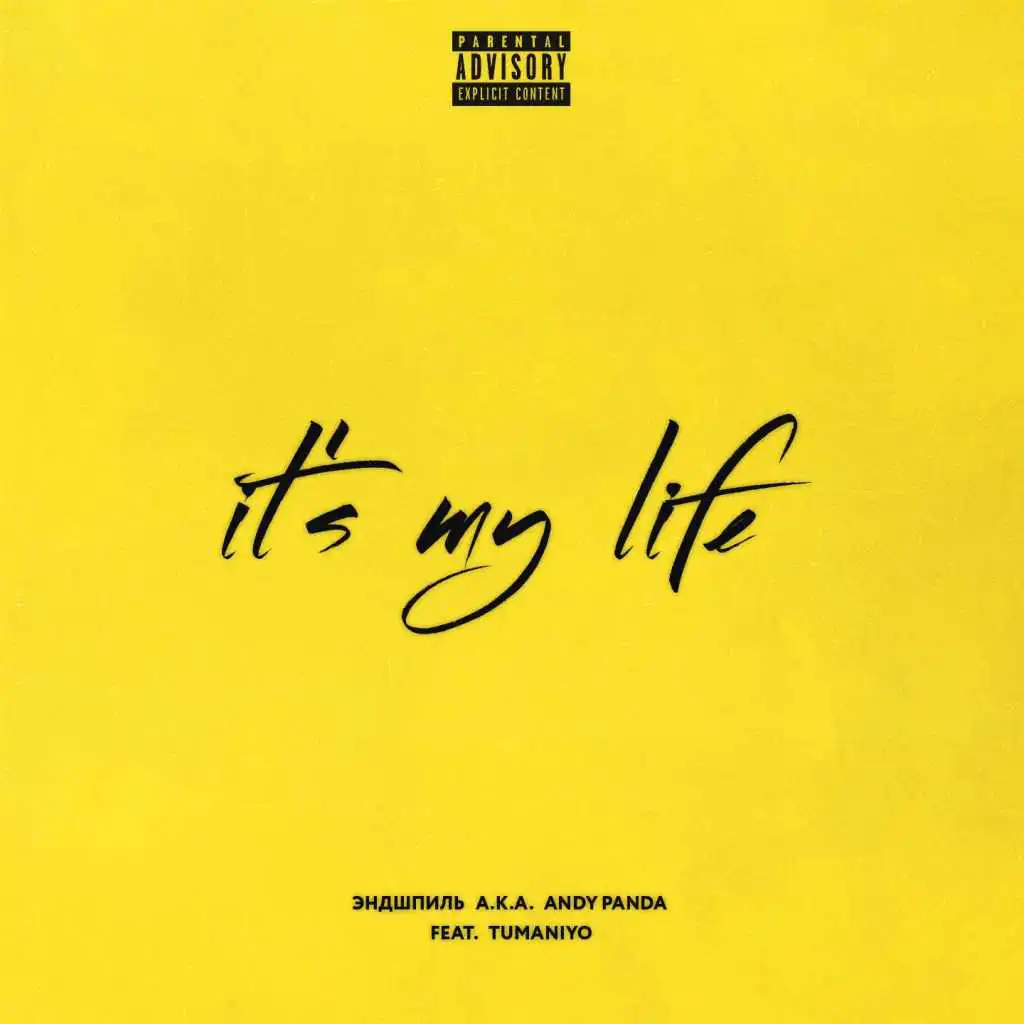 It's My Life (feat. TumaniYO)