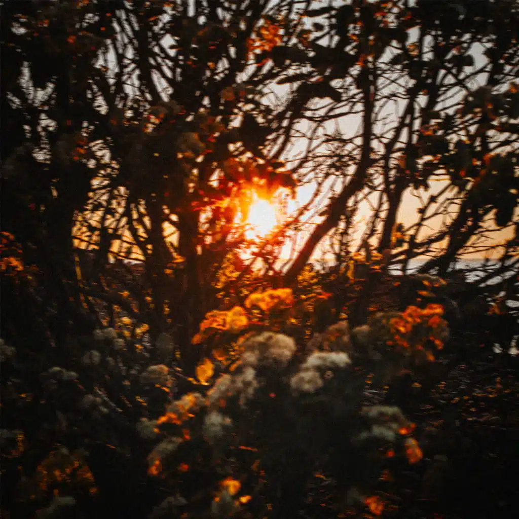 Rest Assured (feat. Amanda Bergman)