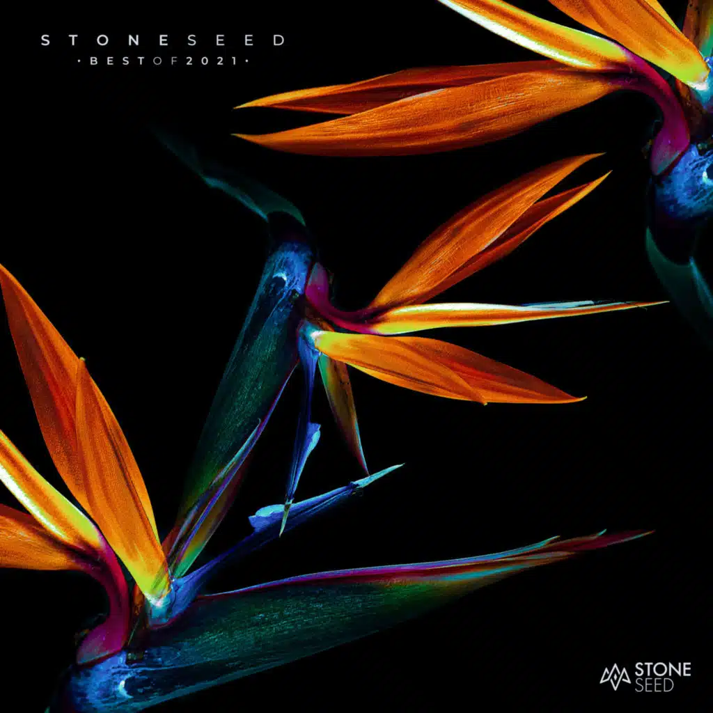 Kase Kochen & Yuli Fershtat